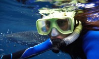 Snorkel-Galapagos-19